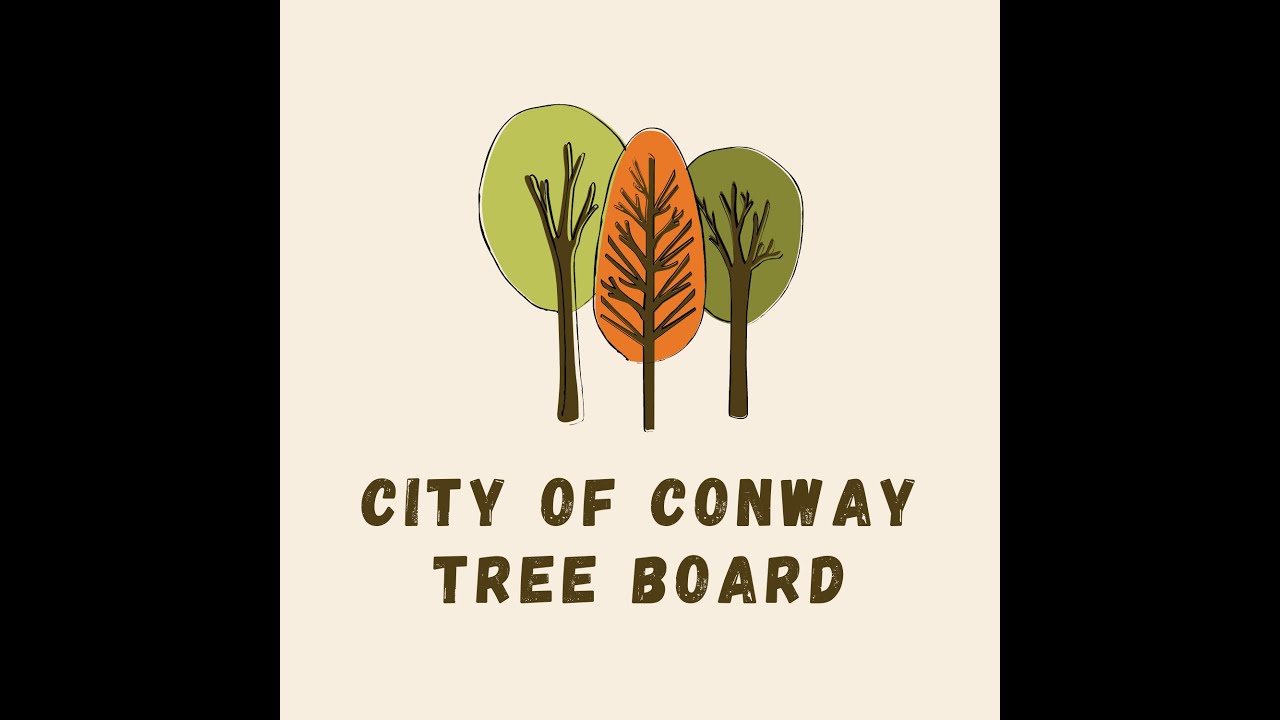 February 2, 2026 - Conway Tree Board