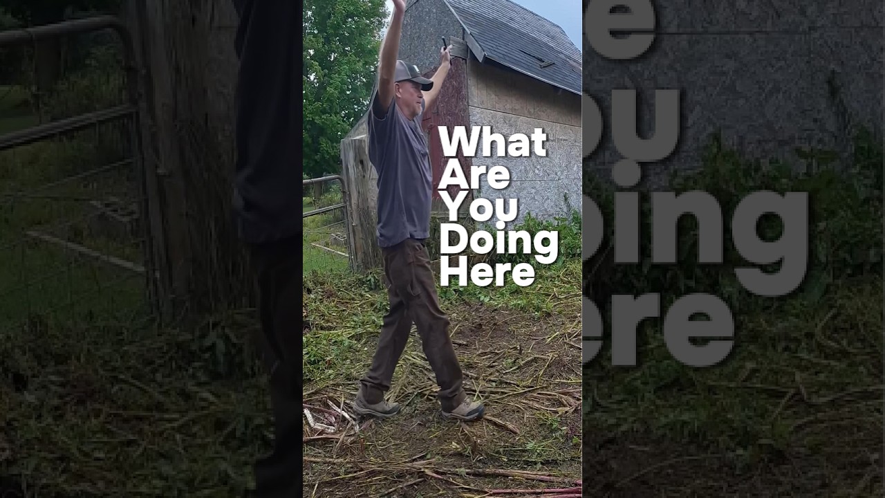Why He Called The Cops To Protect His Aunt's Overgrown Yard #shorts #lawncare #satisfying