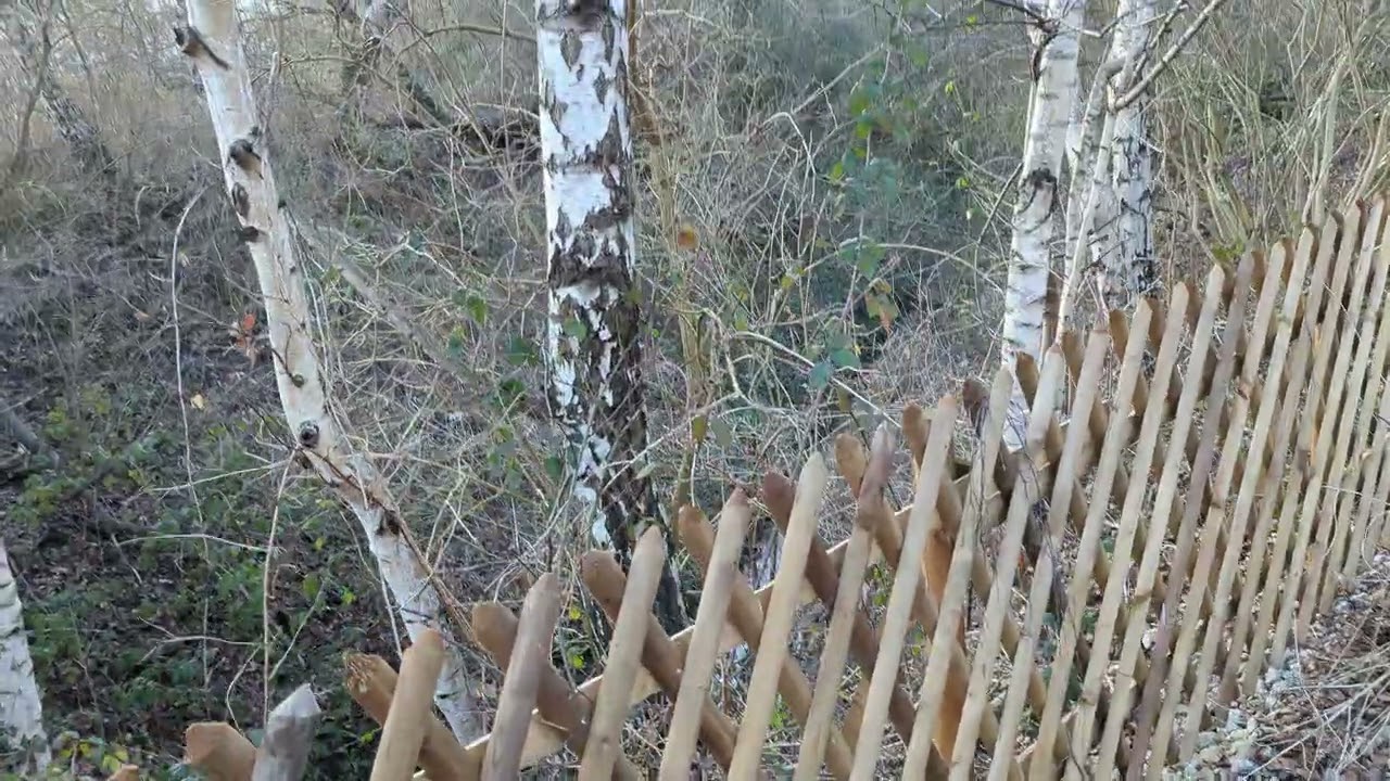 Der Weg zum Tunnel unter der Halde Teil 1