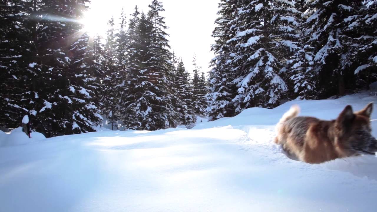 Poco Bueno Collection - Winterclip (HD Video)