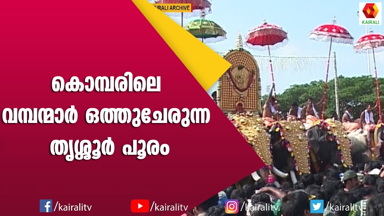 തൃശ്ശൂർ പൂരവും ഗജവീരന്മാരും ; തൃശ്ശൂർ പൂരം | Thrissur Pooram | E for Elephint | Kairali TV