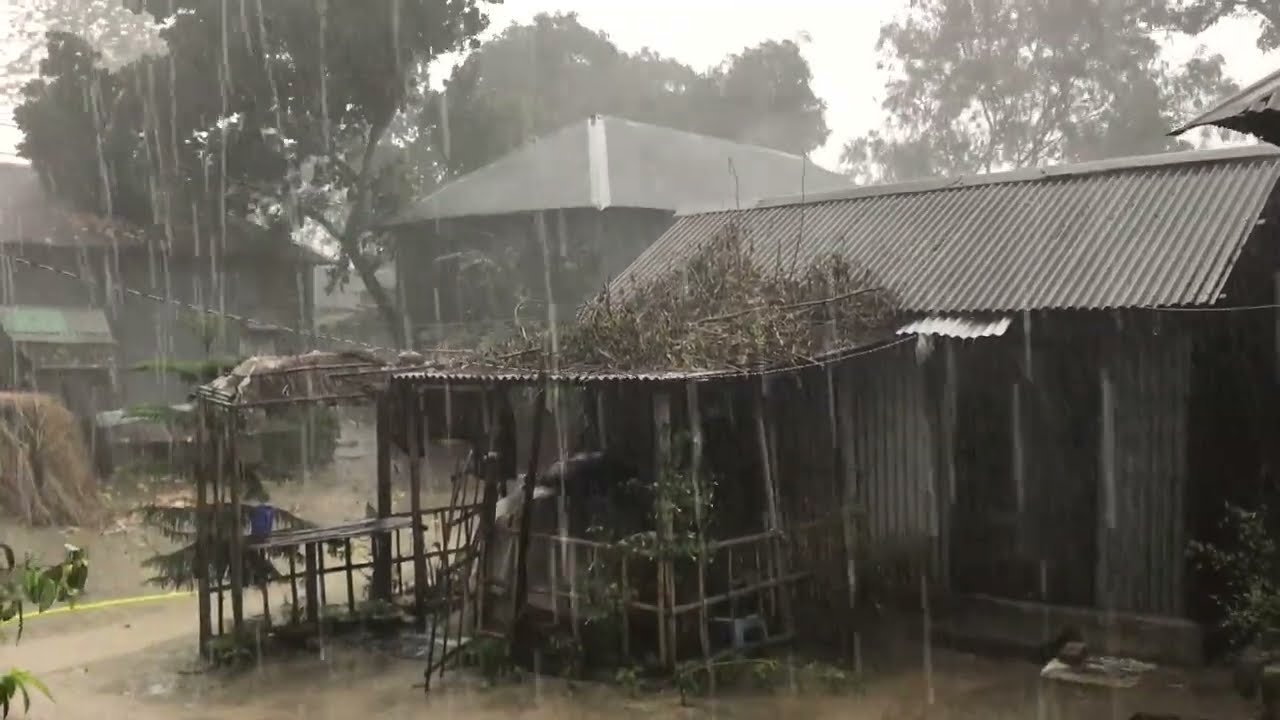 সকাল বেলা ঝড় জানি না সারাদিন কি হবে//smell of village