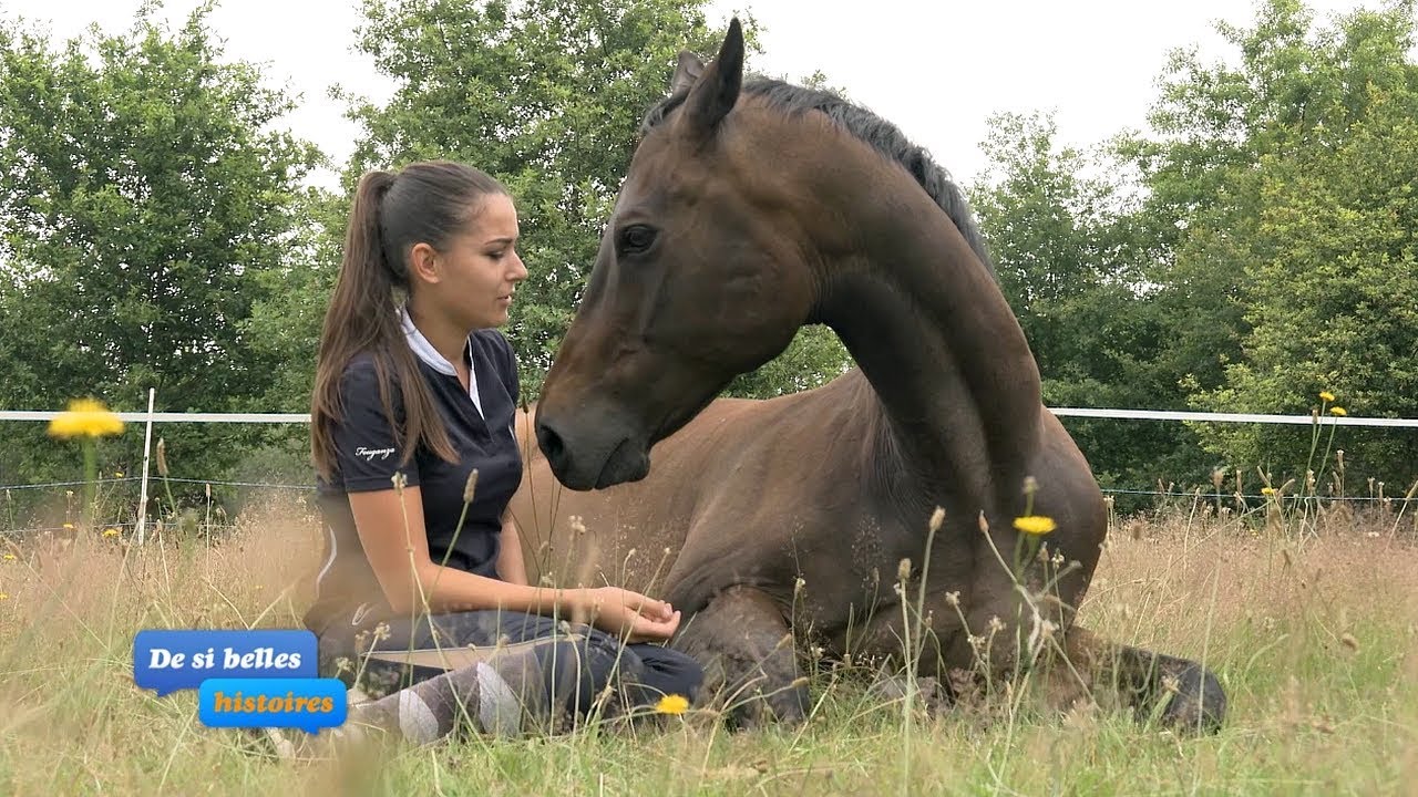 REPORTAGE EQUIDIA - De si belles histoires