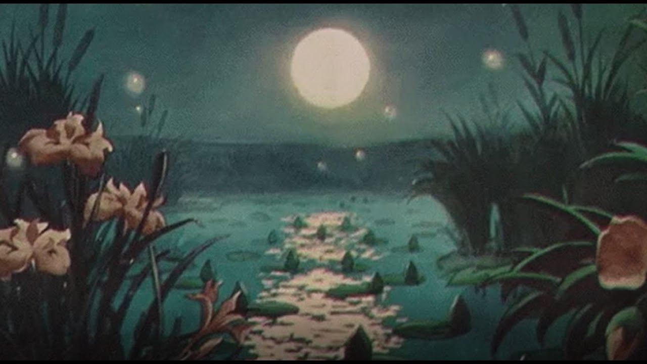 🌻spring sunset [lofi][chill][jazzhop]