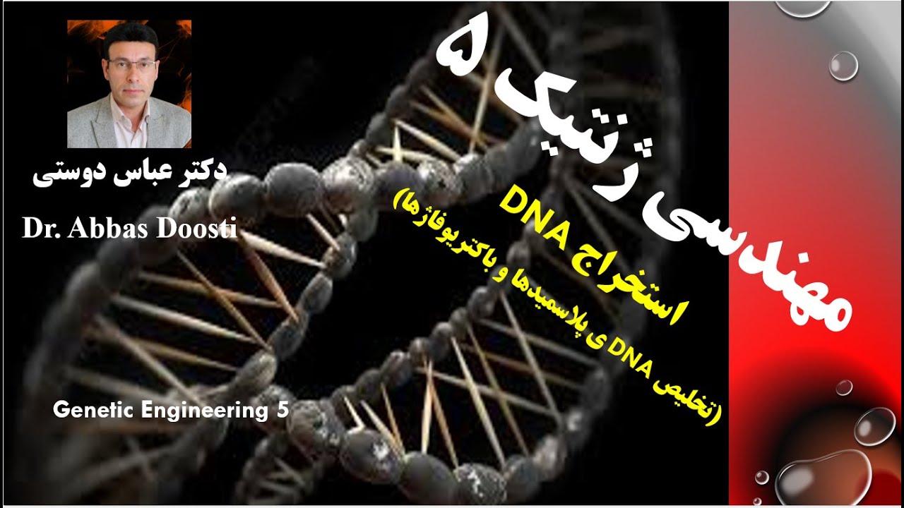 DNA Purification from Plasmids and Bacteriophage/ استخراج 