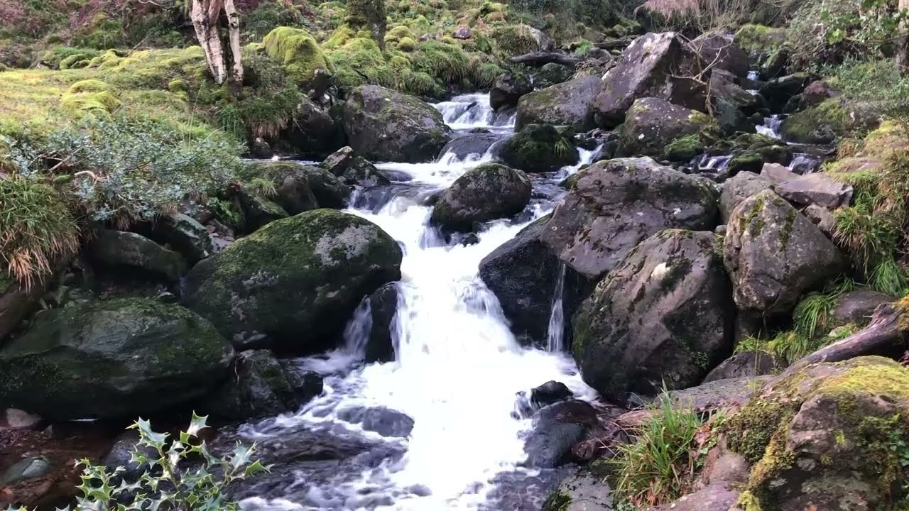 BROWN NOISE OVER 9 HOURS OF NATURAL COMFORTING SOUNDS FOR SLEEP, STUDY, FOCUS.