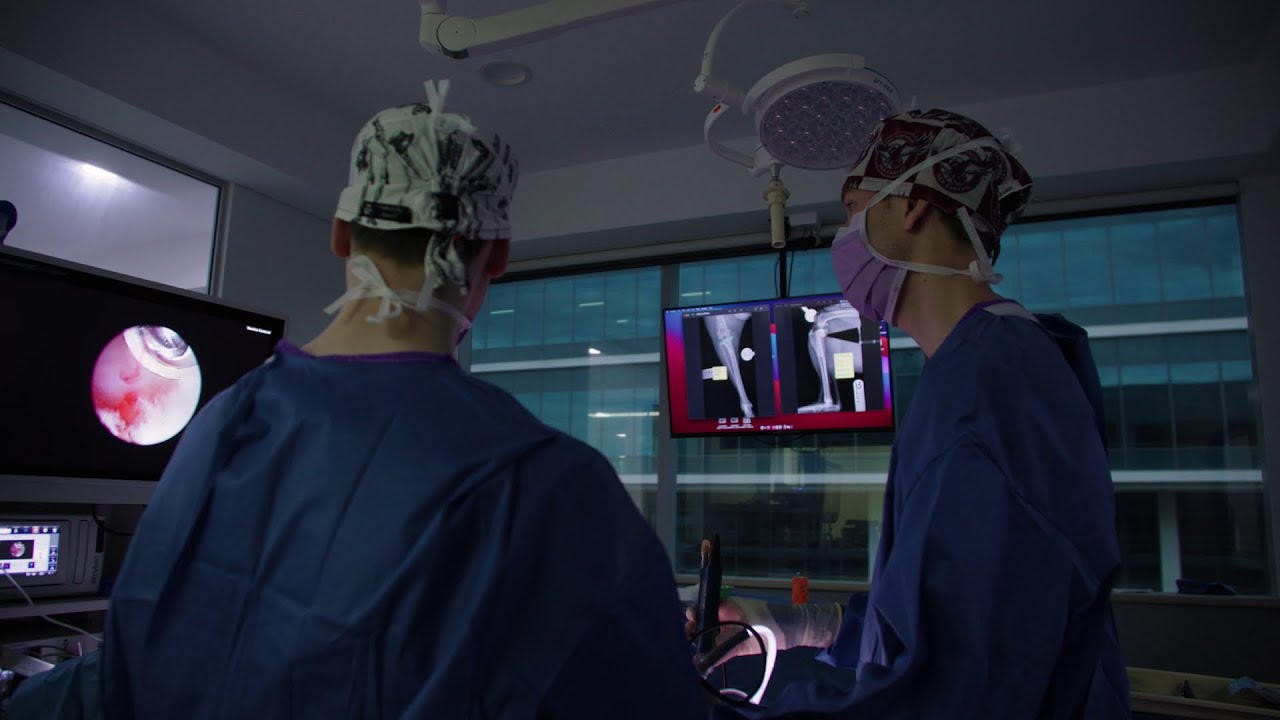 TPLO surgery for dogs at SASH