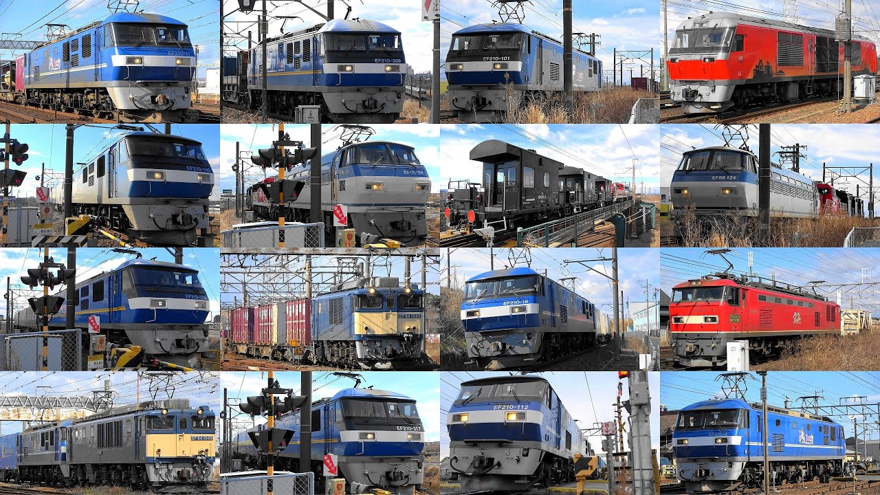 ダイヤ改正後初撮影‼ 2025,3,19 貨物列車いろいろいっぱい50本 稲沢に響く大迫力モーター音とジョイント音‼汽笛‼ 強風の貨物王国を力走する貨物列車たち EF66珍ドコ編成と優しい汽笛♪