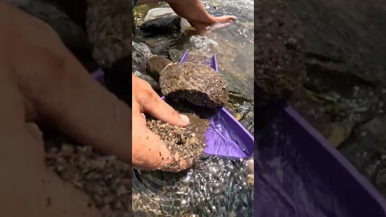 Creek gold in the California foothills using the Adventure Sluice 