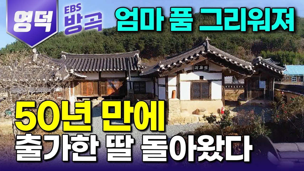 [경북 영덕] 