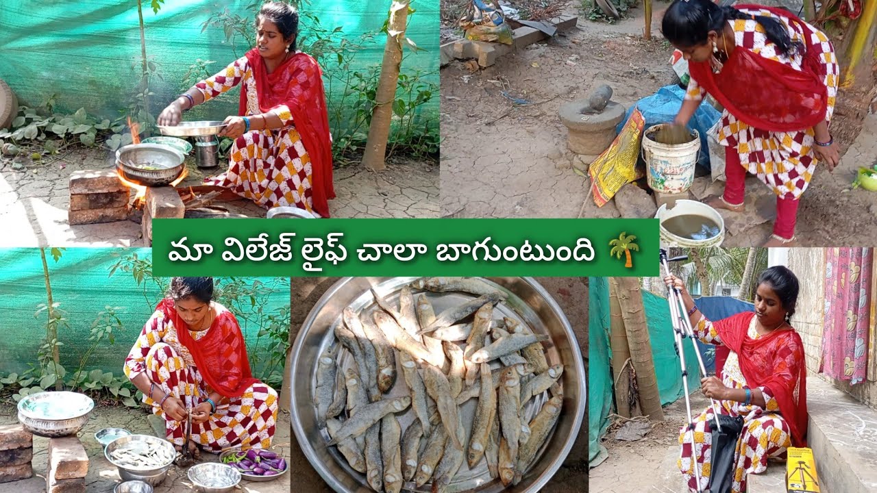 పాతకాలం ఎండు చేపలు వంకాయ పులుసు🐟డబ్బులు రాకపోయినా కూడాచాలా కష్టపడుతున్న🤗 విలేజ్ లైఫ్ ఇలానే ఉంటుంది🥰