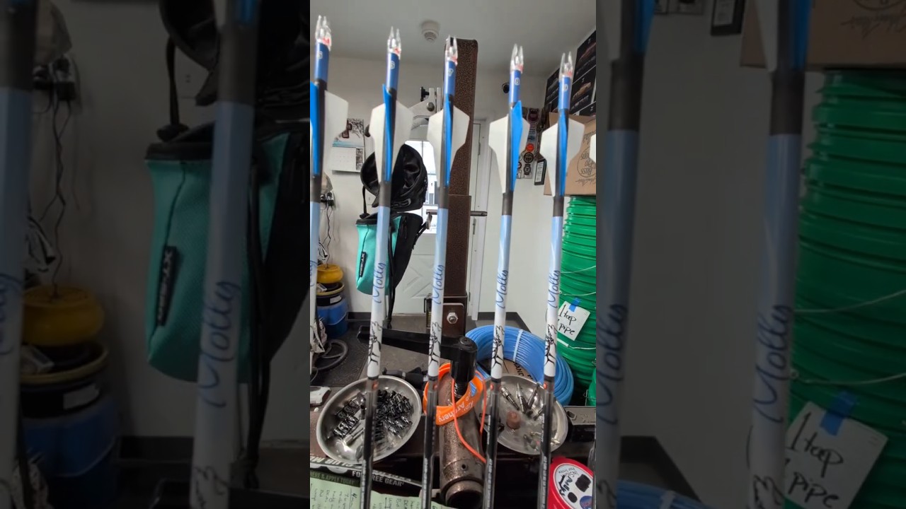Perfect Arrow Setup #music #arrow #archery #archerygear #shorts #short #countrylife #countrymusic