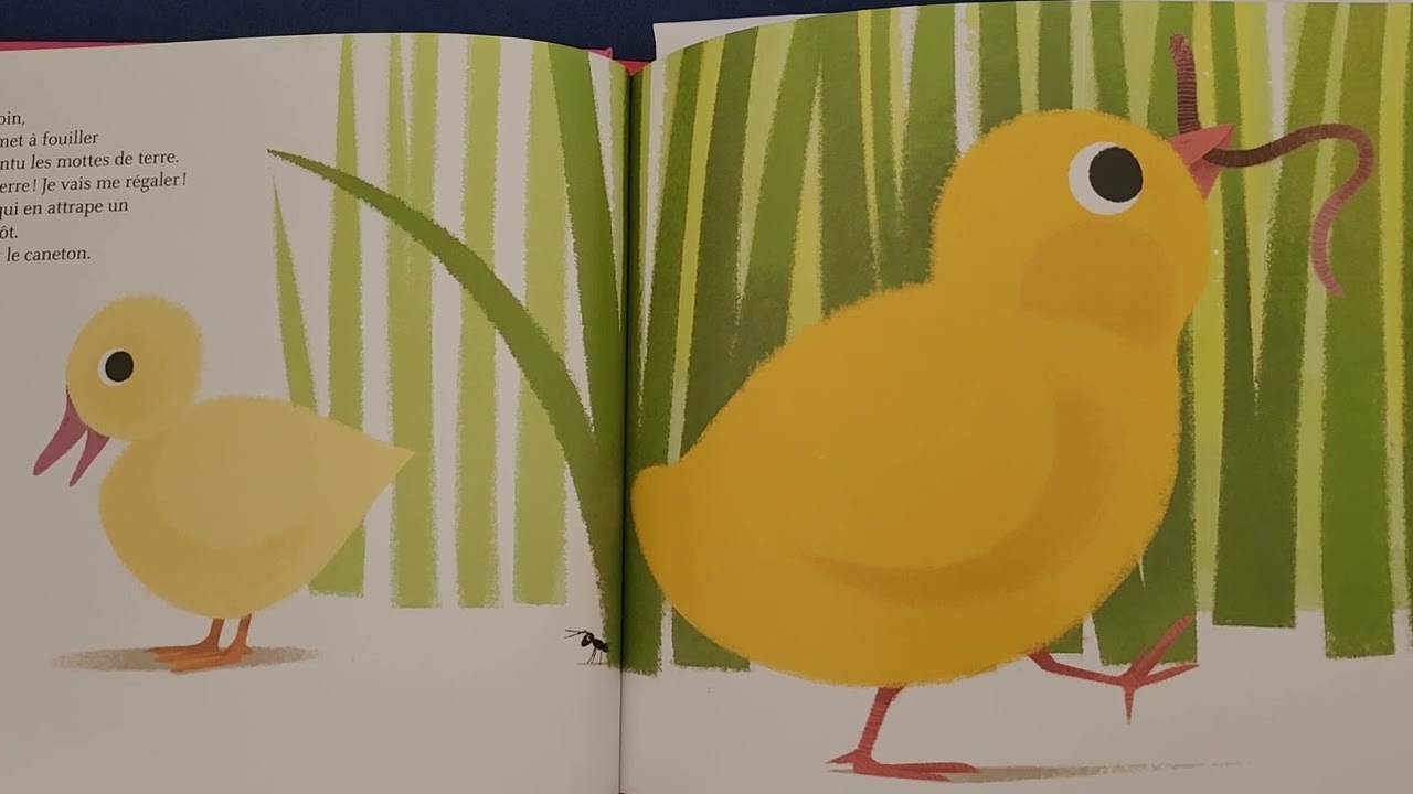 Un poussin, un caneton