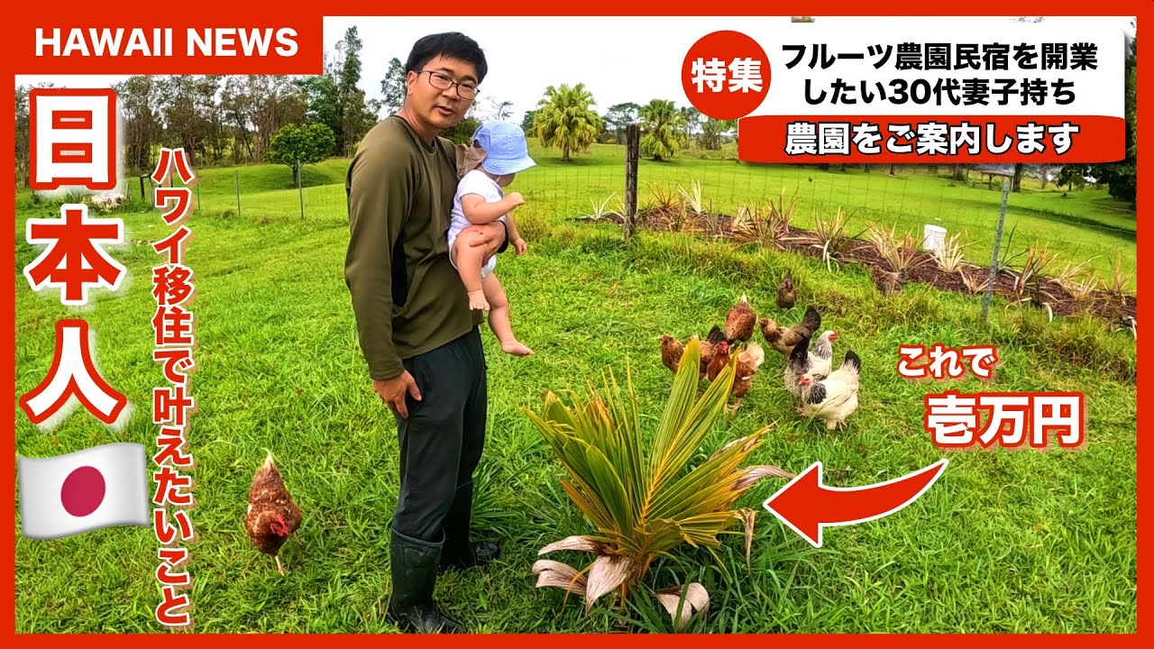 【ハワイ 崖っぷち移住生活者】フルーツの苗にカネをつぎ込んで、、、色々やばい。。。