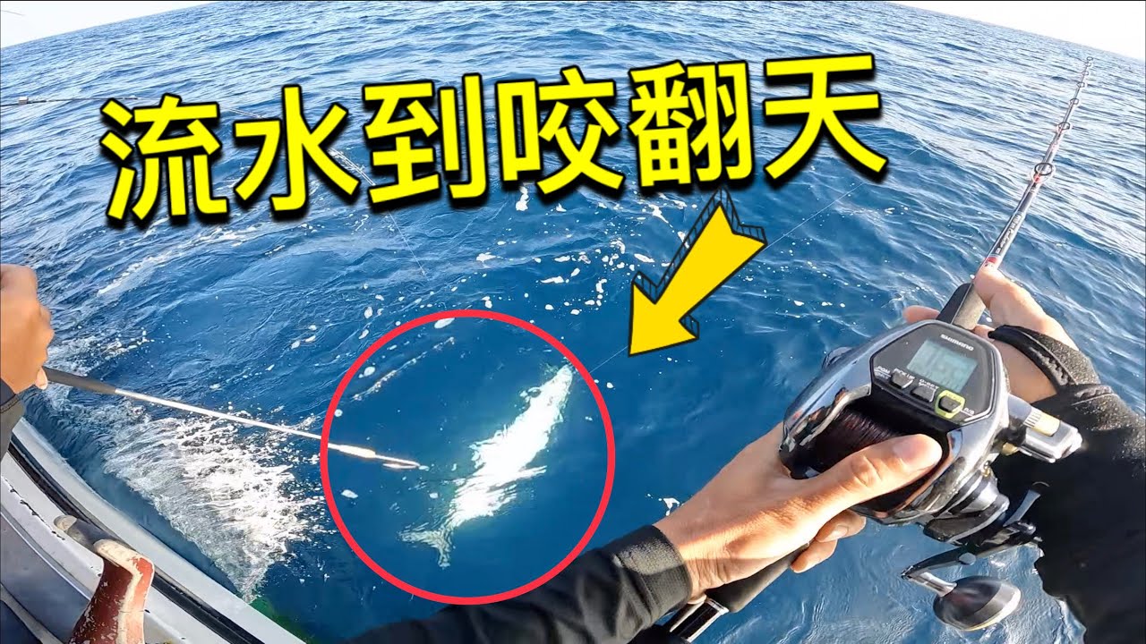 流水到咬翻天！包船同樂帶著一半新手挑戰東吉海域尋找土魠魚