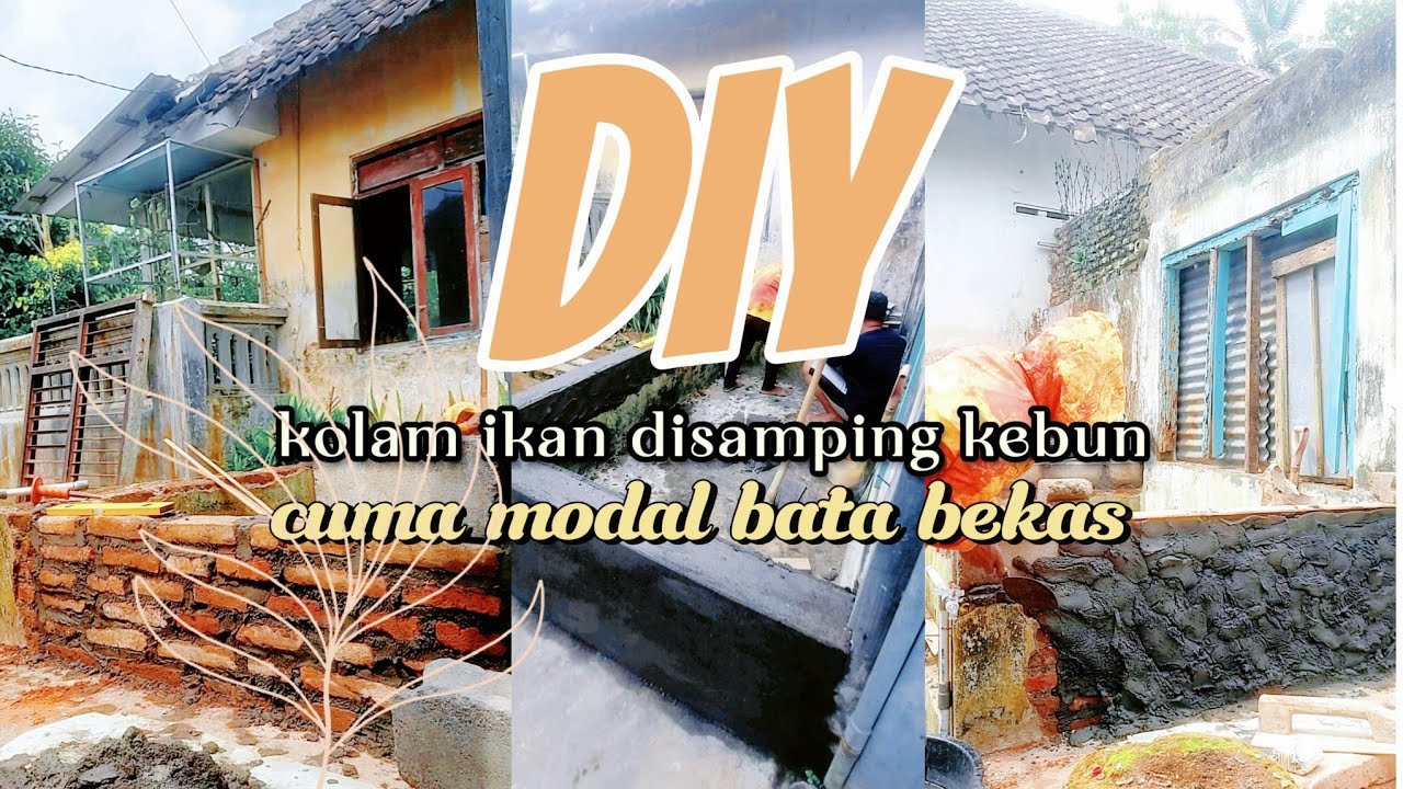 DIY kolam ikan samping kebun cuma modal batu bata bekas