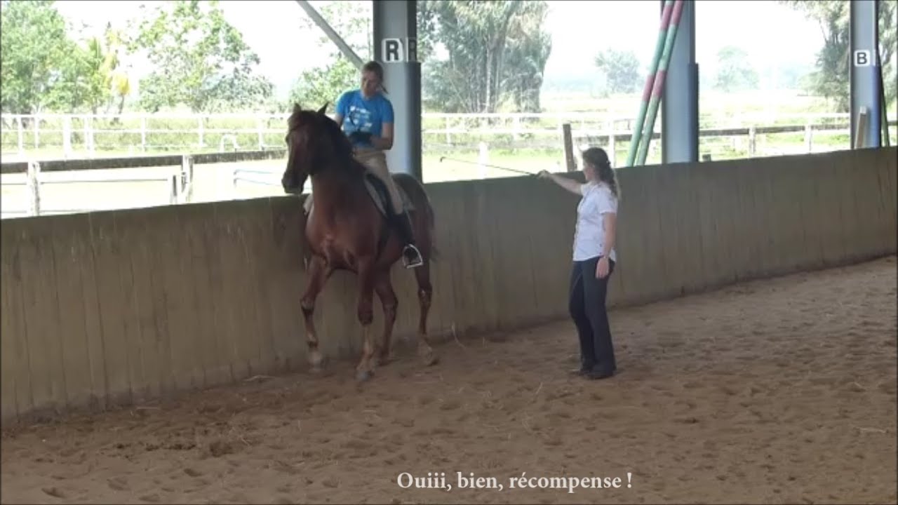 Stage de l'Ecole de Légèreté avec Sandra Ciano - Guyane, février 2016