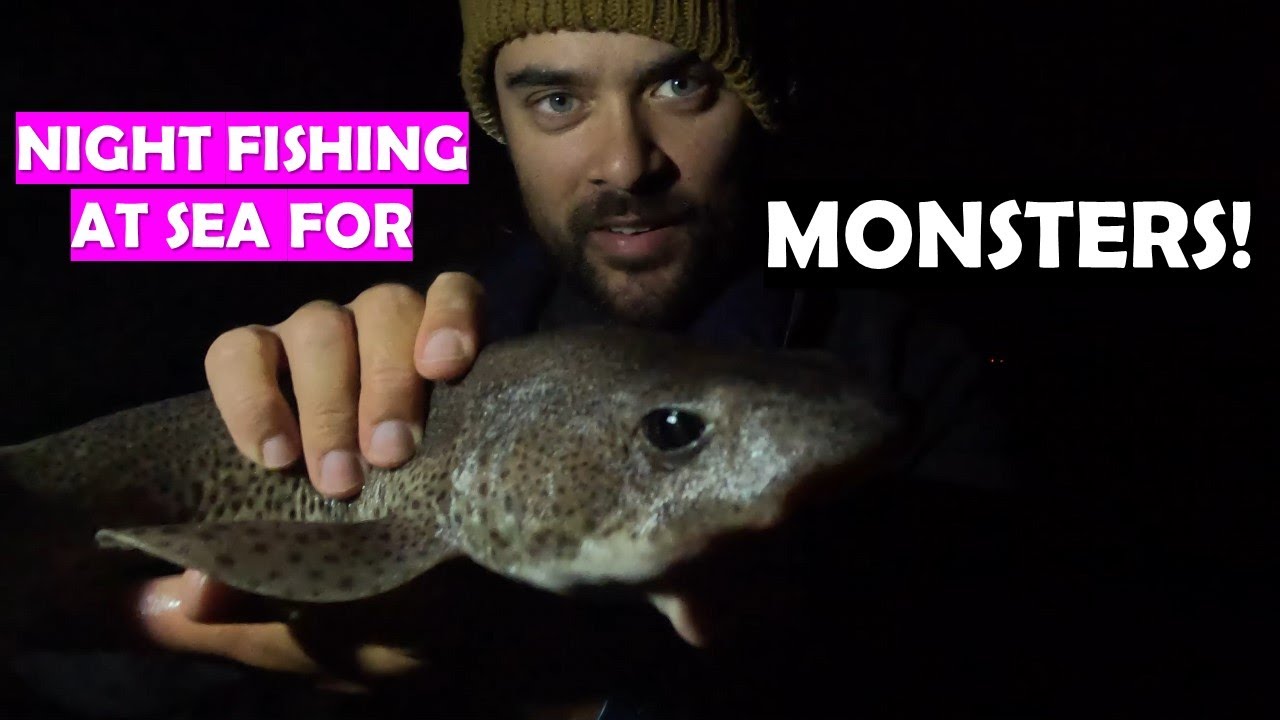 Night Fishing Christchurch Ledge: Epic Catches and Personal Bests!