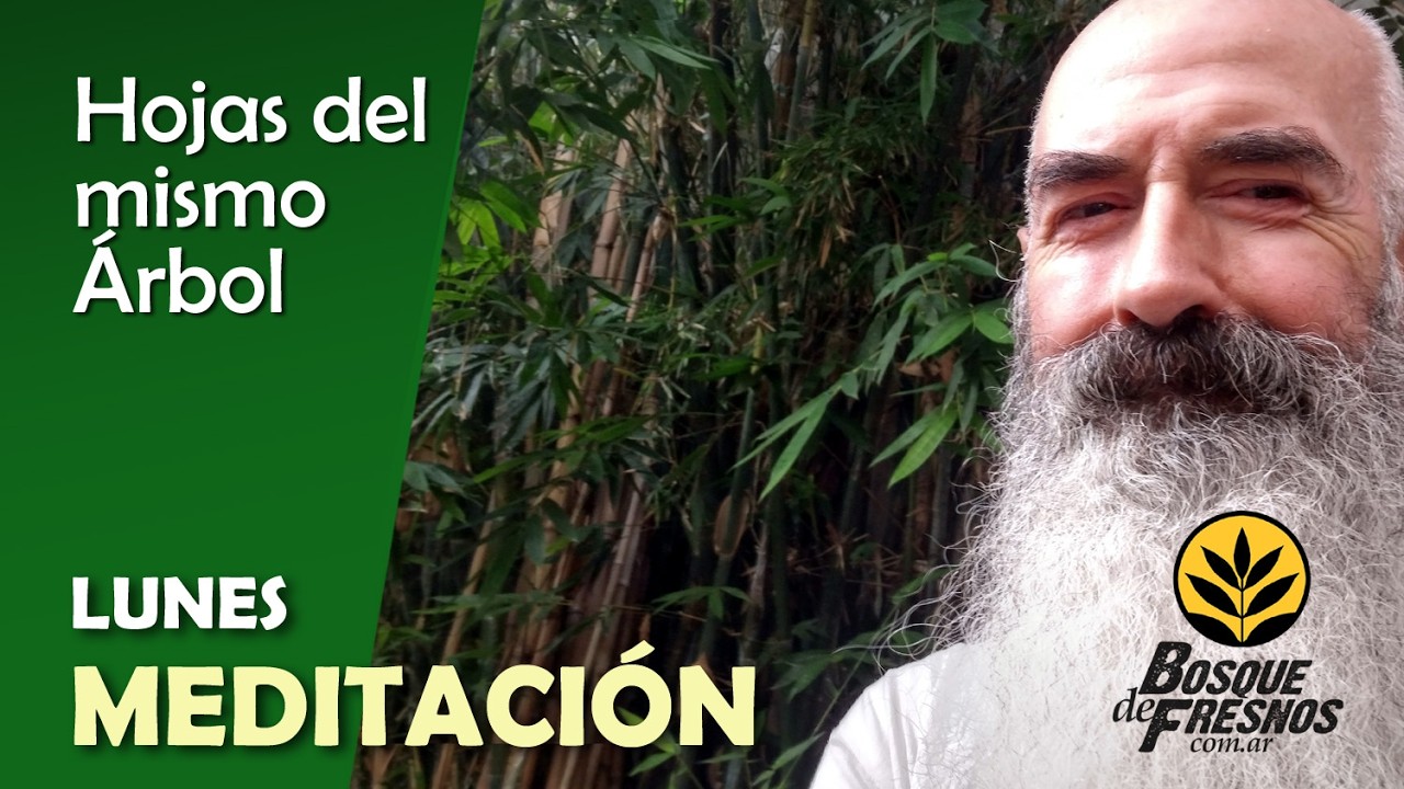 Hojas del Mismo Árbol - Meditación - 16 de marzo 2026