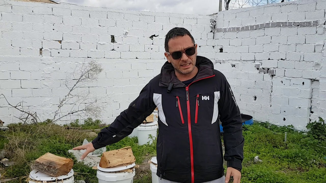 Ανοικτή Τροφοδοσία μελισσιών στην Αττική. Ιανουάριος 2019