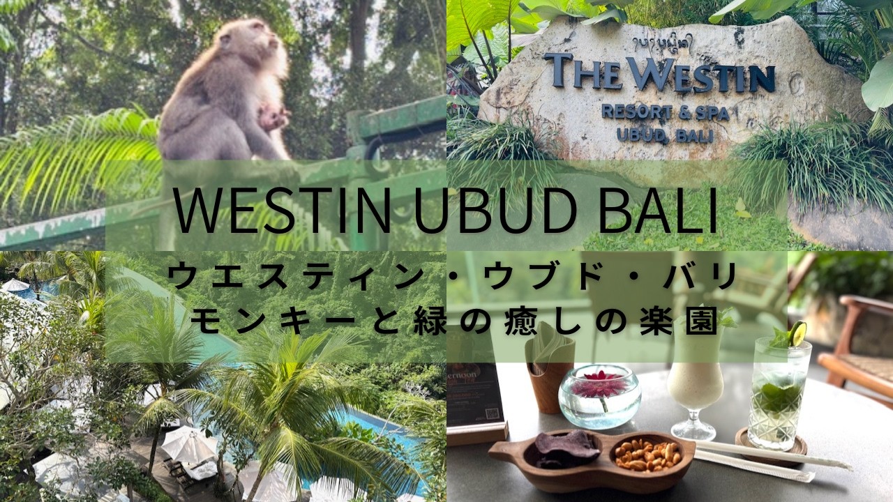 【必見！激カワ🐒猿の親子】 ウブドまち歩き ウエスティンウブド モンキーフォレスト プラチナ特典カクテルタイムご紹介