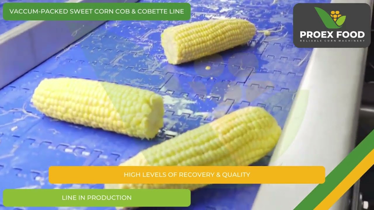 PROEX FOOD Vacuum-Packed Sweet Corn Line