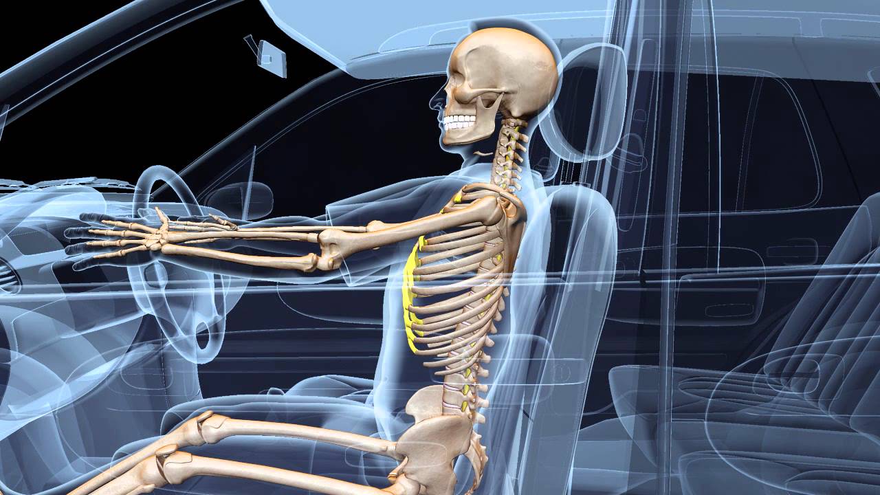 3D Crash Animation - Occupant Kinematics