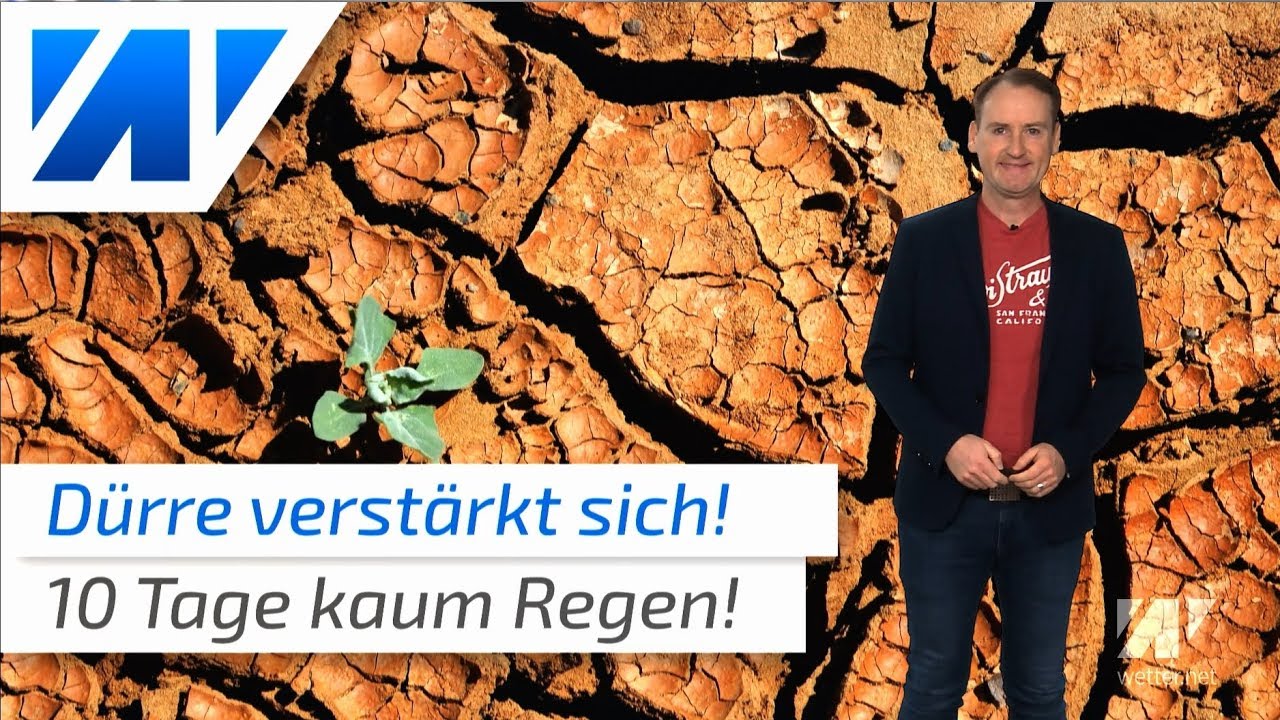 Wetter: Hitze bringt D&uuml;rresommer zur&uuml;ck!