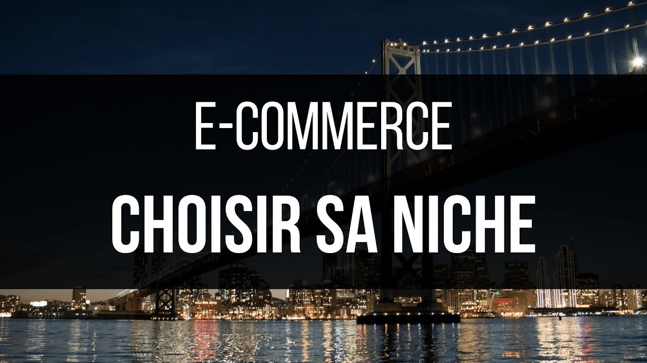 E-COMMERCE - CHOISIR SA NICHE