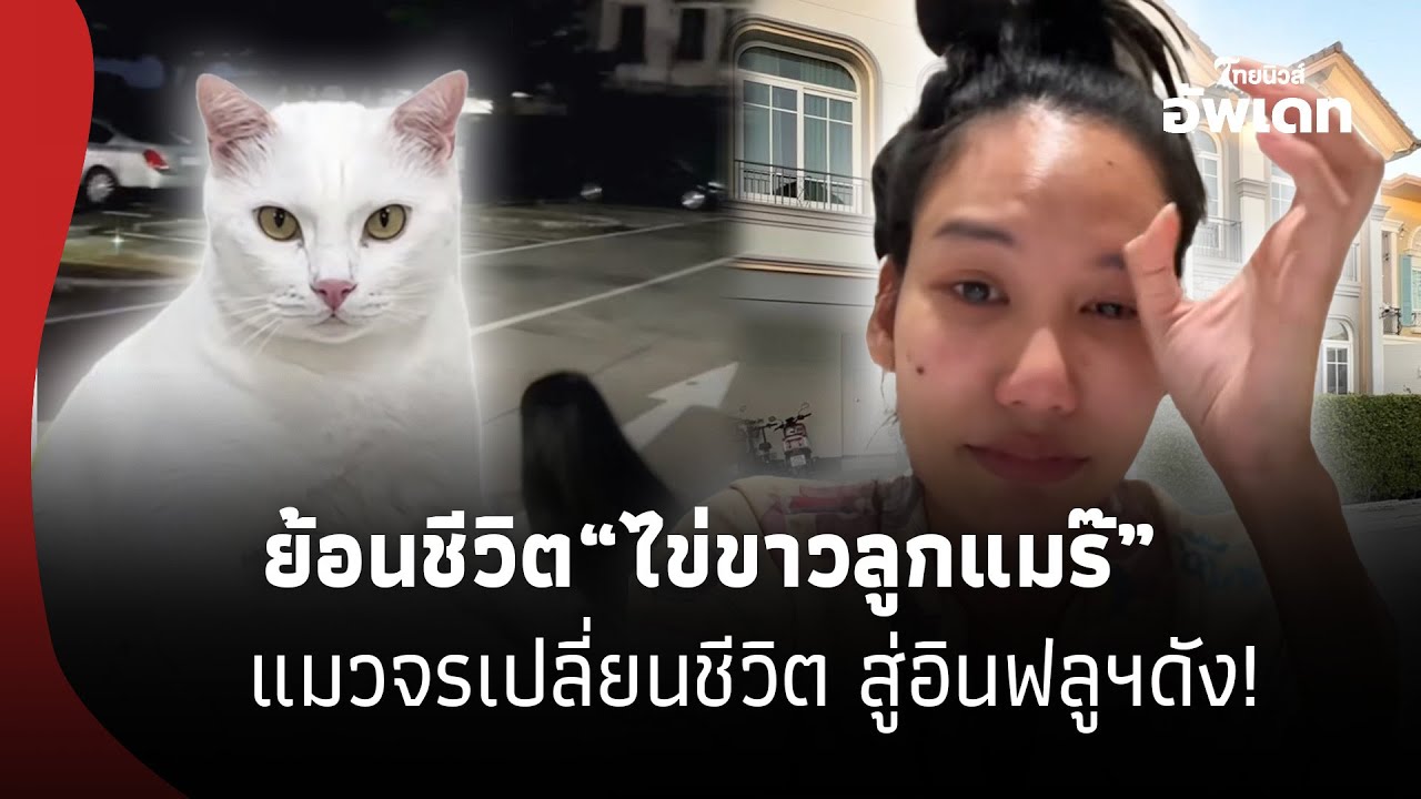 จุกในอก! ย้อนเส้นทางชีวิต “ไข่ขาวลูกแมร๊” แมวจรเปลี่ยนชีวิต สู่อินฟลูฯดัง ก่อนจากไปอย่างสงบ 16- SS