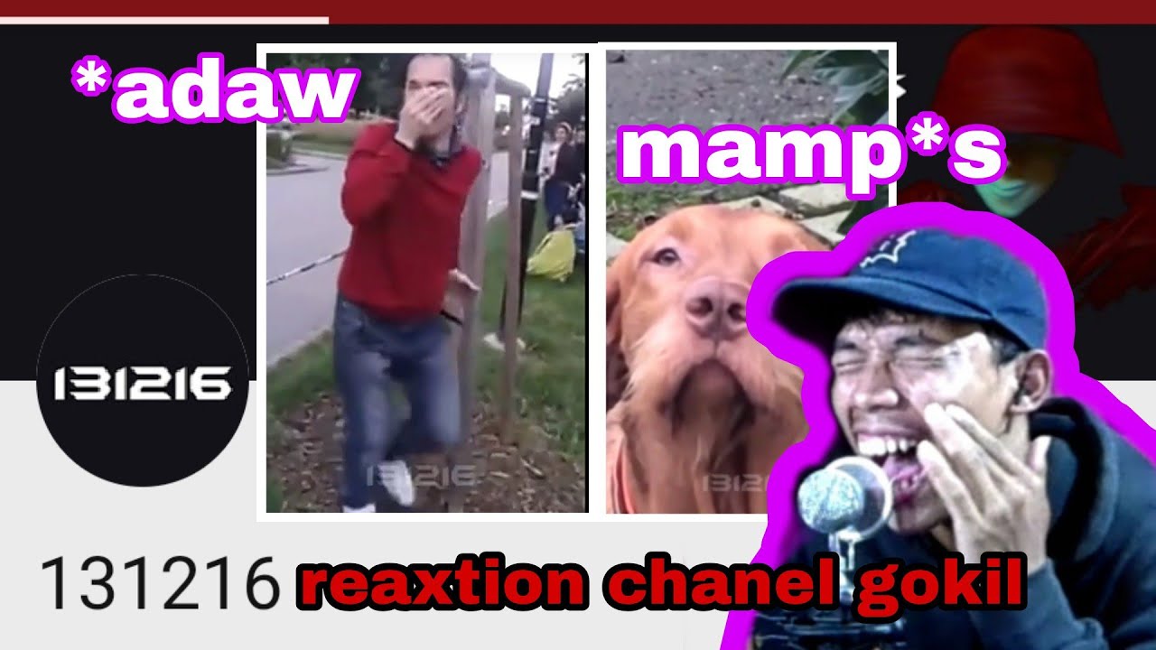 ngeliatin manusia konyol. reaxtion [channel 131216]