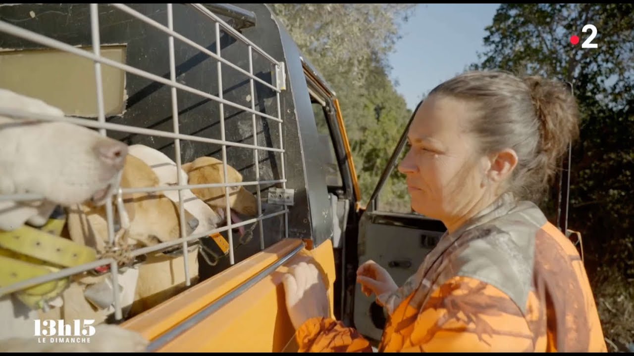 Chasse au Sanglier en Corse avec Angélique Ciucci reportage France2