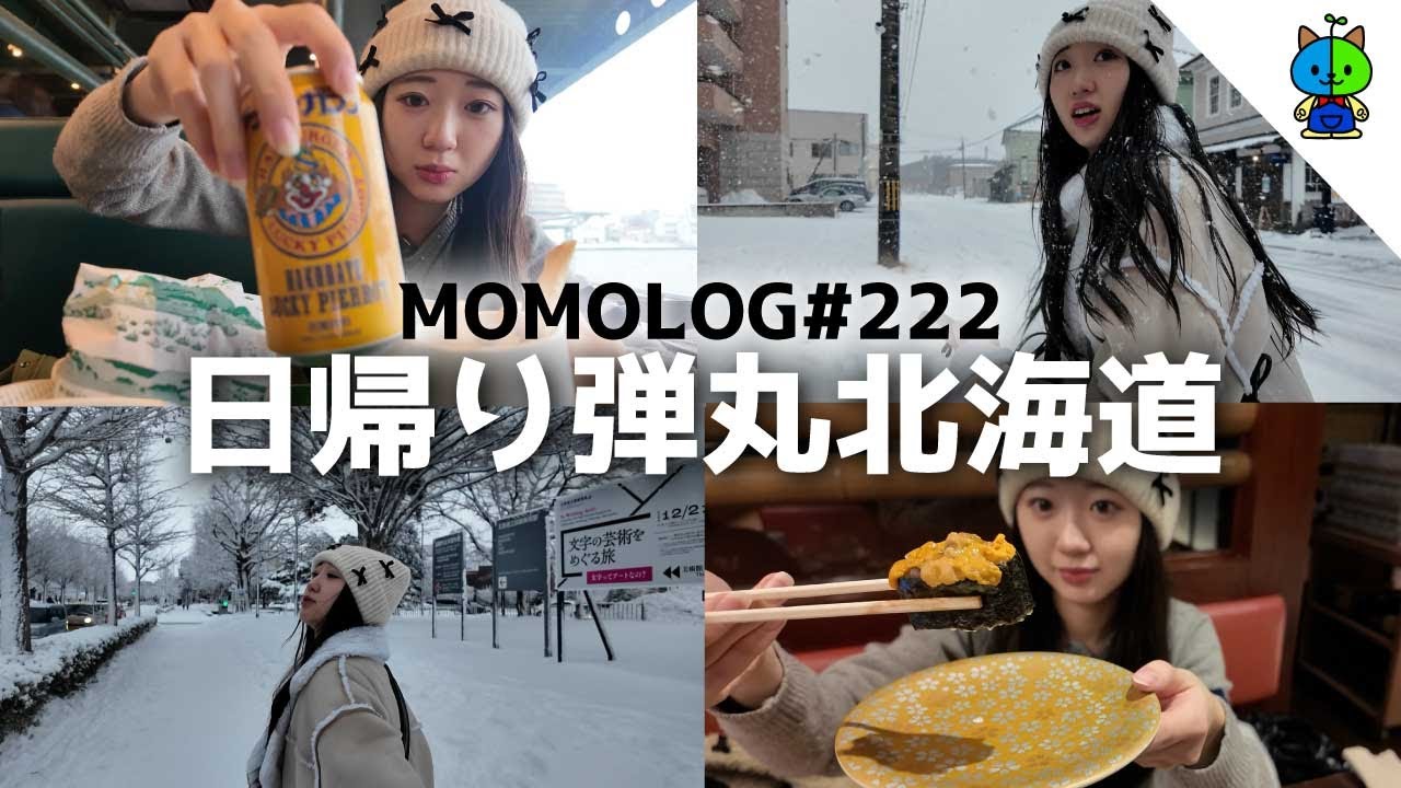 【日帰り弾丸】ママと新鮮な海の幸を食べまくる北海道(函館)の旅🍣【MOMOLOG_222】
