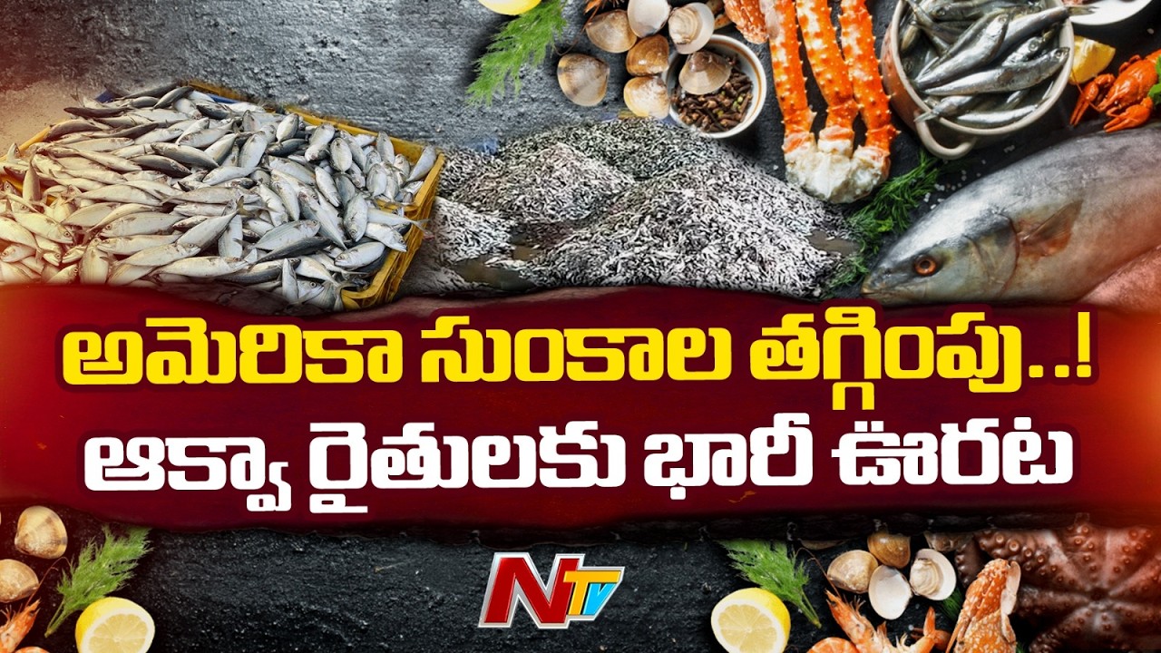 AP: ట్రంప్ సుంకాల తగ్గింపు.. ఆంధ్ర రొయ్యల రైతులకు భారీ ఊరట | NTV Telugu