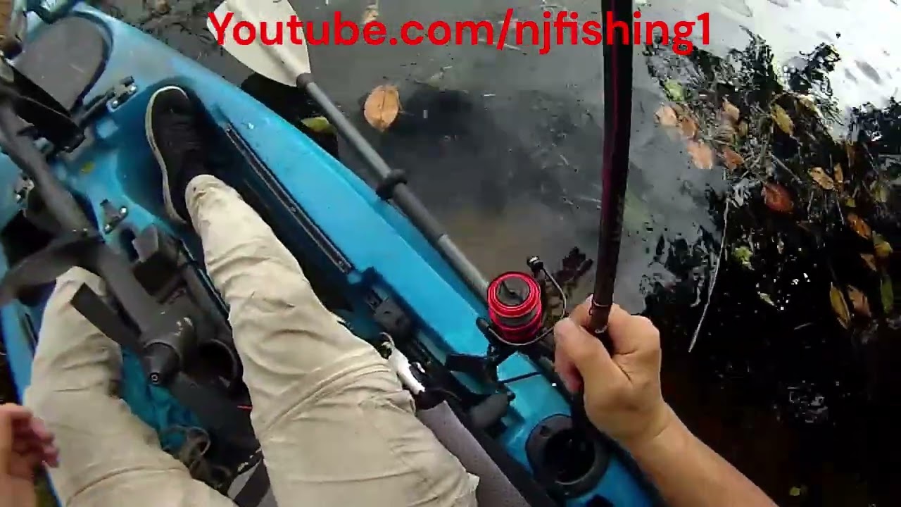 Lake Ida, FL - where to launch my kayak (first parking loop) - there is a vertical drop not suitable