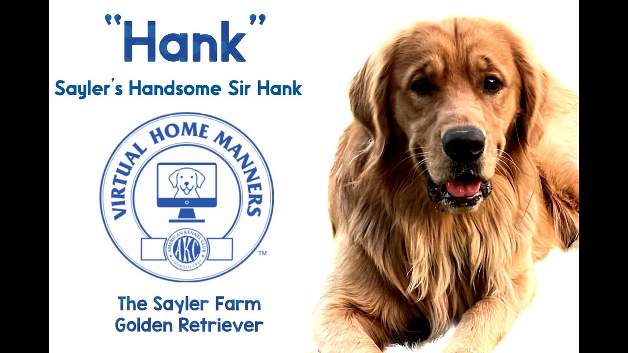 Hank's VHMA Title