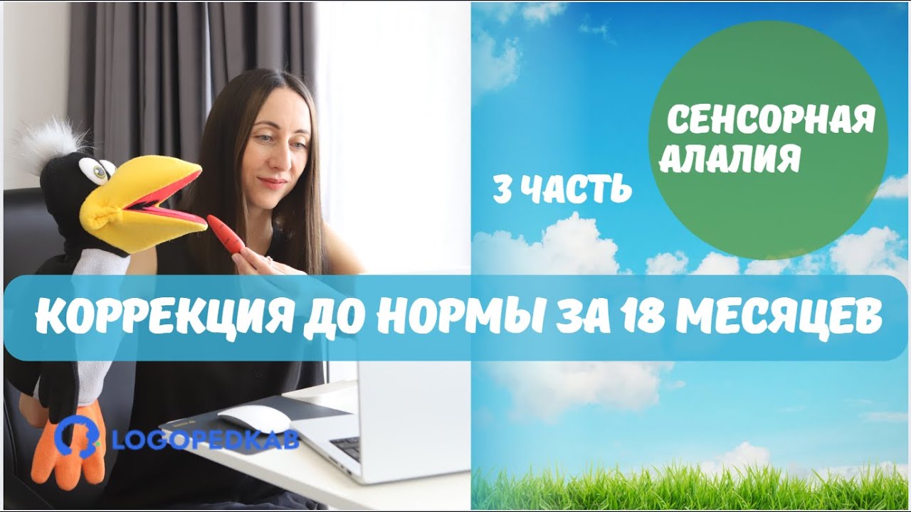 Сенсорная алалия. Коррекция до нормы за 18 месяцев. 3 часть