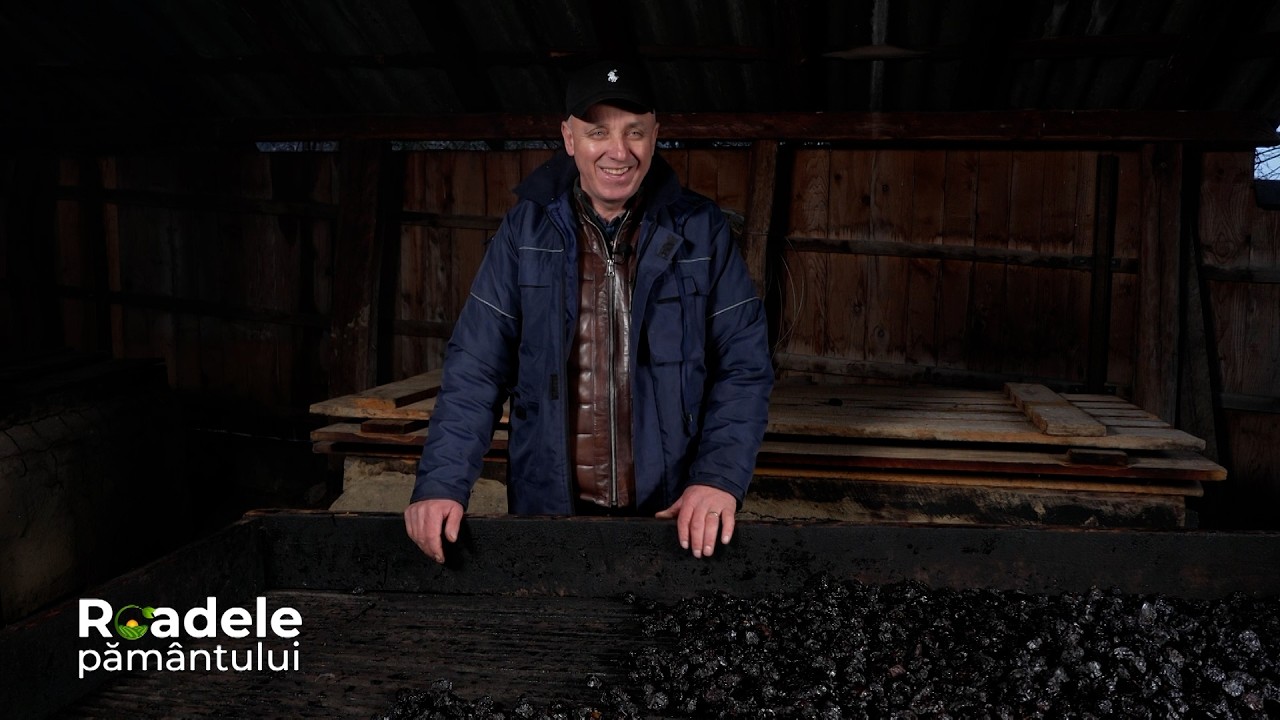 Prunele afumate pe lojniță sunt o adevărată emblemă a gusturilor autentice #Roadelepamantului