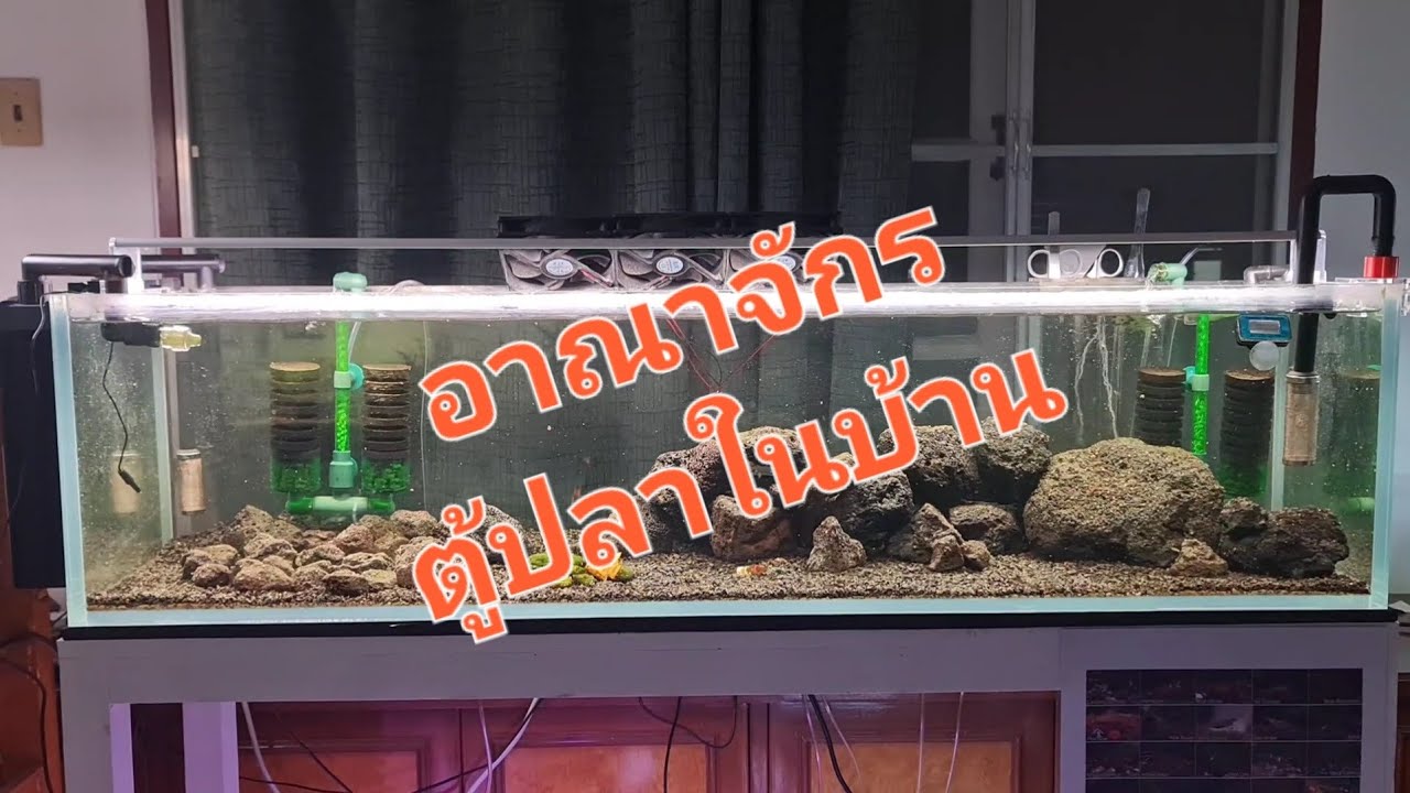 พาทัวอาณาจักรตู้ปลาในบ้าน ทั้งหมด!!!
