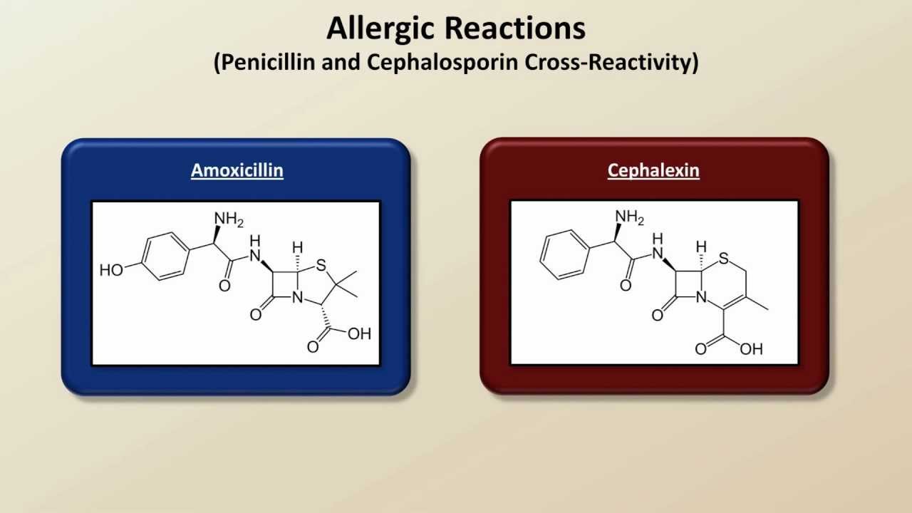 Important Side Effects and Toxicities (Antibiotics - Lecture 8)