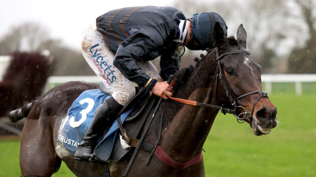 So impressive! DJELO demolishes Peterborough Chase rivals at Huntingdon!