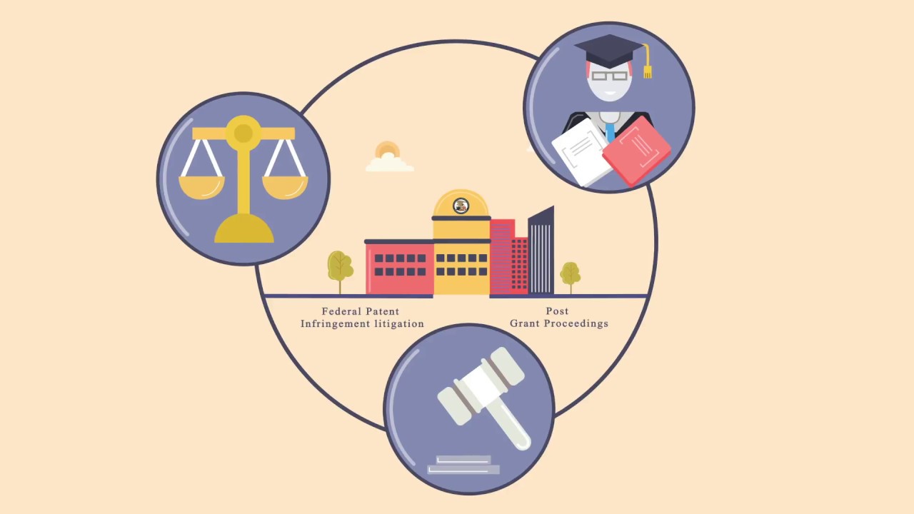 Patent infringement litigation