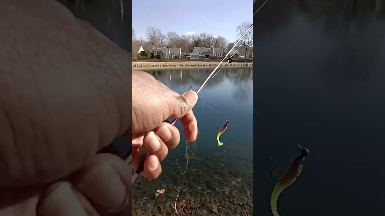 My BASS Catch for Today 😃