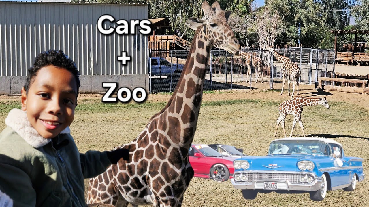 Finding "Wild" Classics: A Car Show & Wildlife World Adventure Part 1