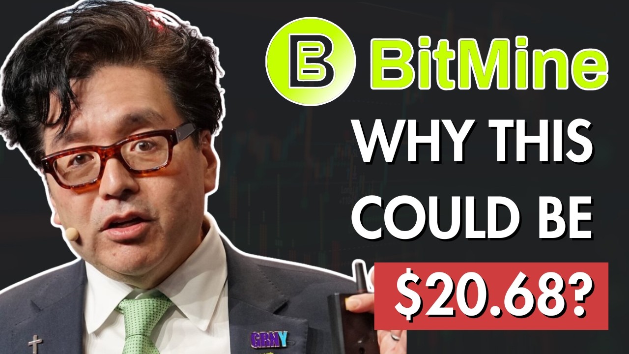 Катализатор BMNR, который БОЛЬШИНСТВО СЕЙЧАС упускает из виду!