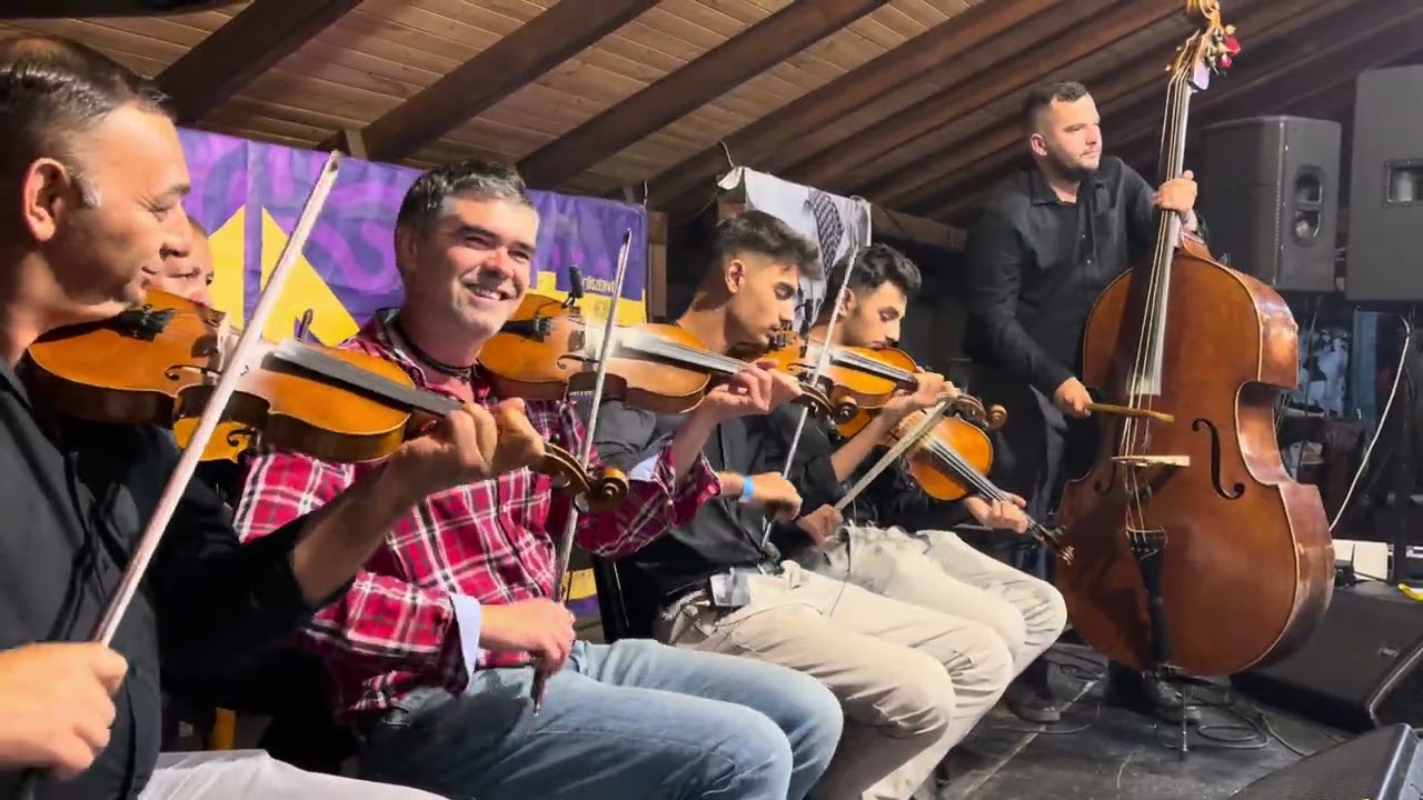 A Palatkai banda és Koncz Gergő az Egyfeszten