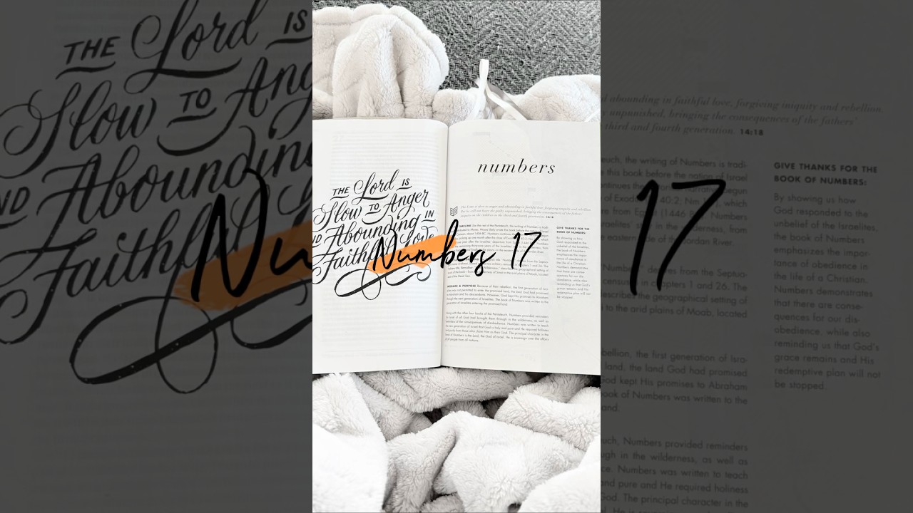 Numbers 17 illustrated Bible story 
