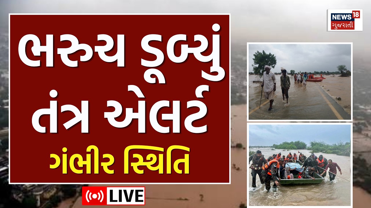🟠Bharuch Rain Flood News Live | ભરુચમાં વરસાદથી પૂરની સ્થિતિ | South Gujarat | Monsoon | Alert