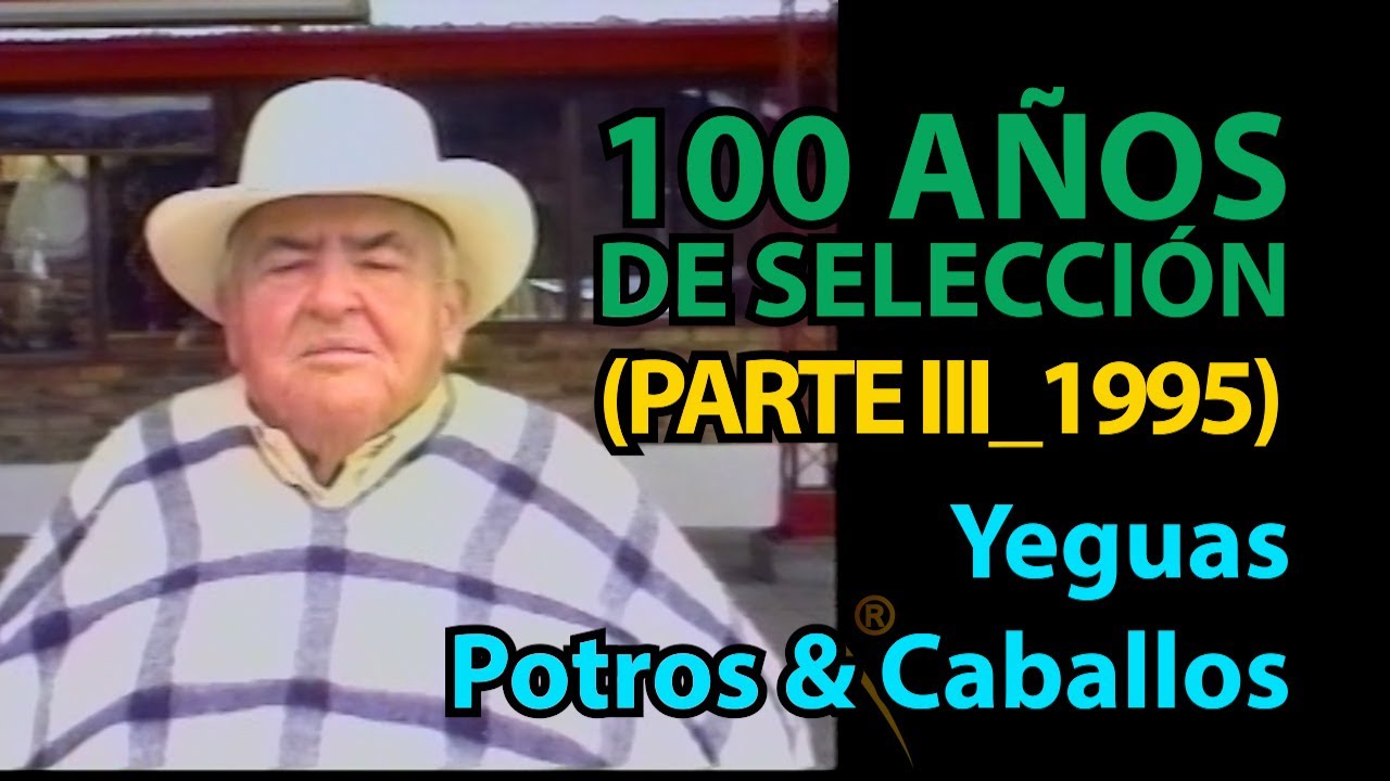 CRIADERO LA MARGARITA DEL 8 DON FABIO OCHOA PARTE III #pasofinocolombiano #pasofino #pasofinohorse