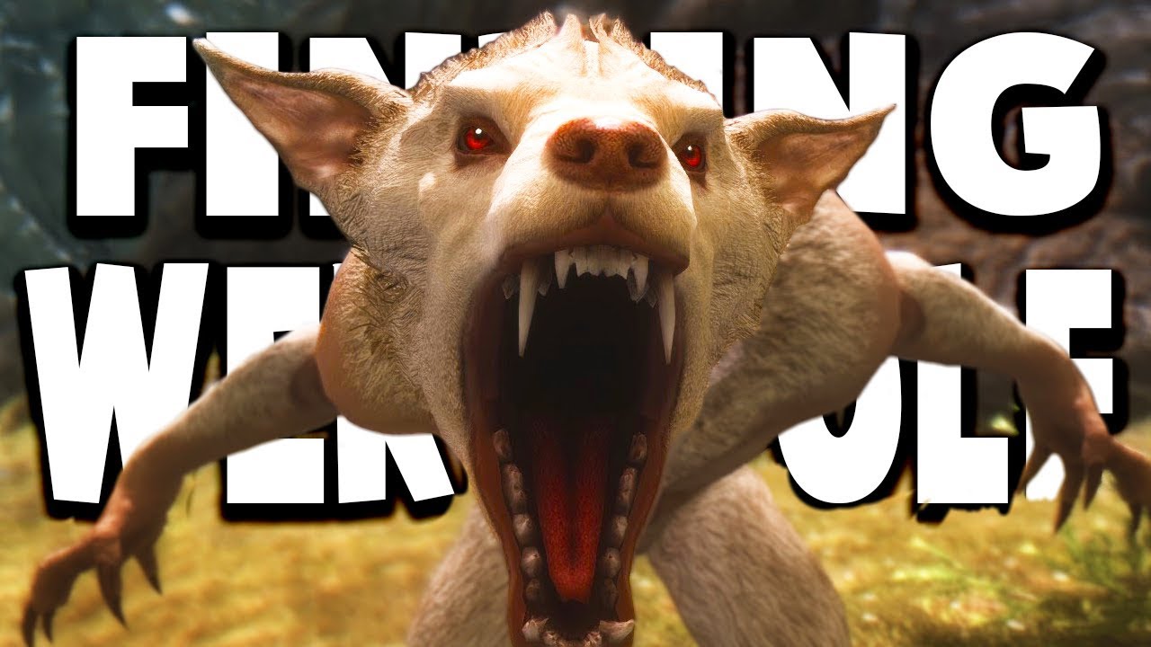 Finding WereWolf - HUNTING DOWN WEREWOLF LIKE BIGFOOT! - The Hunter Gameplay